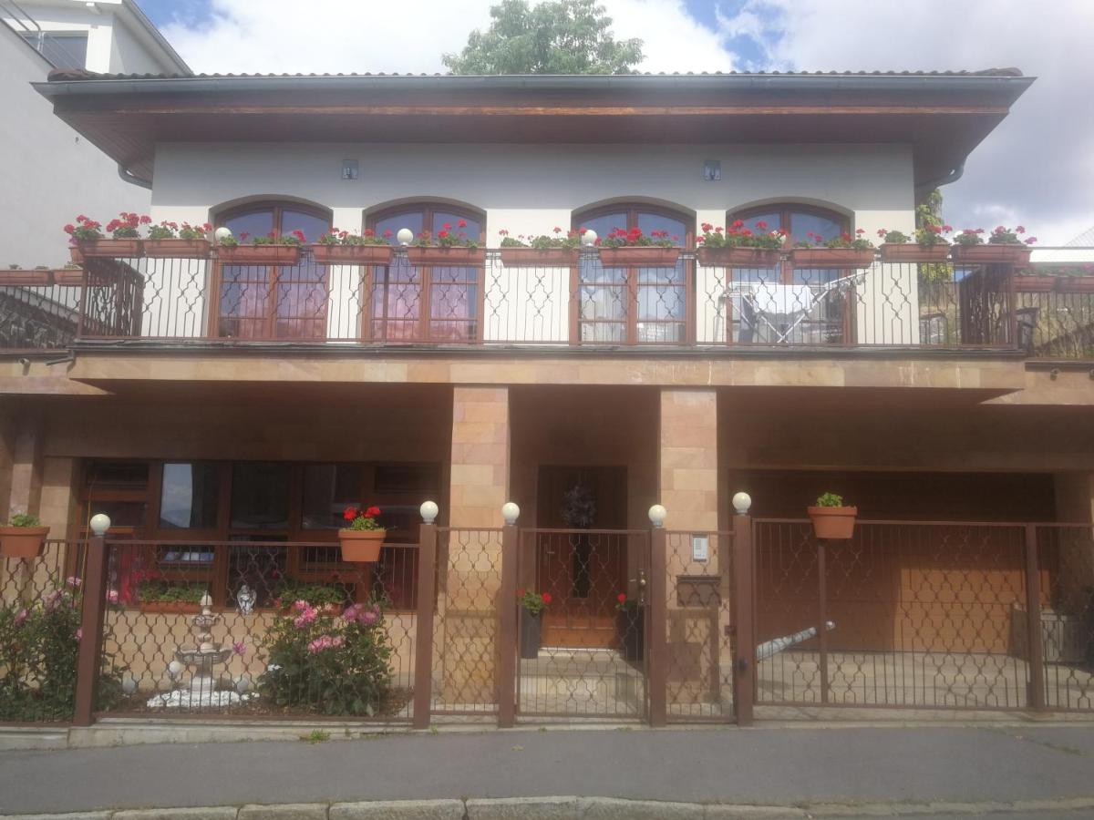 Vila Barrandov - Prague — Photos 2